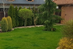 20170408_143549