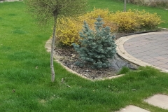 20170408_143637