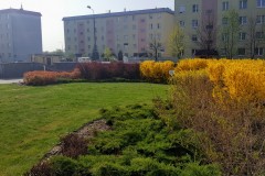 20180421_0859532