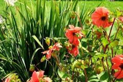 IMG_20190719_155749_400