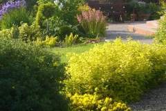 IMG_20200311_061012_467