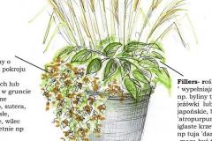 IMG_20200405_150847_831