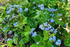 IMG_20200516_002550_071