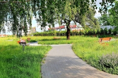 IMG_20200709_170258_353