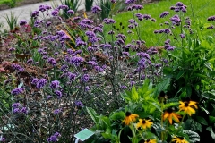 IMG_20200718_220859_429