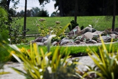 IMG_20200718_220859_432