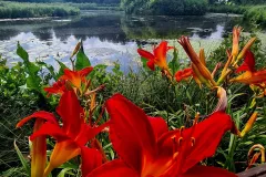 img_20220724_140928_563