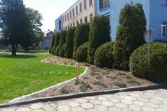 received_3100527576656807